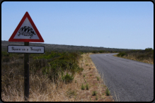 Strae und Verkehrsschild im West Coast Nationalpark